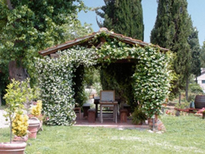 Agriturismo Relais Poggio Primo Borro Екстер'єр фото