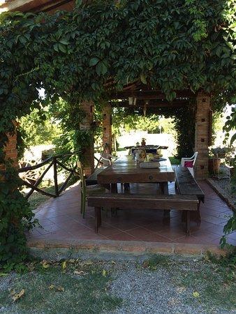 Agriturismo Relais Poggio Primo Borro Екстер'єр фото