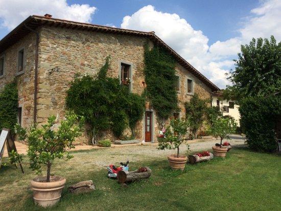 Agriturismo Relais Poggio Primo Borro Екстер'єр фото